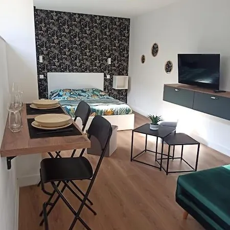 Superbe Appt Avec Cour Et Parking Gratuit A 5min De La Cite Medievale Apartment Carcassonne