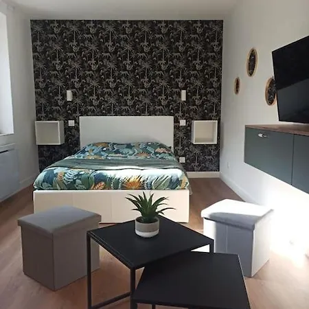 Superbe Studio Avec Cour Et Parking Gratuit A 5 Min Du Chateau *