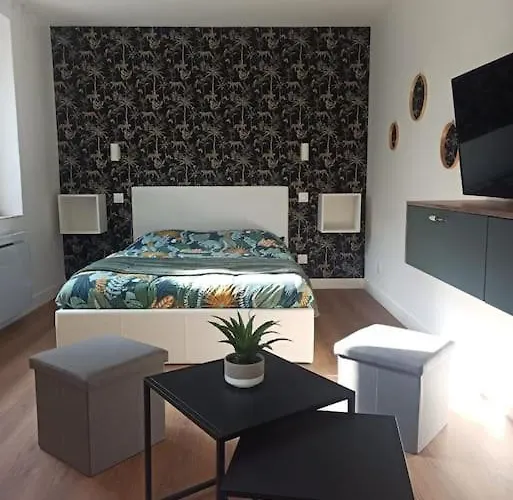 Superbe Studio Avec Cour Et Parking Gratuit A 5 Min Du Chateau *